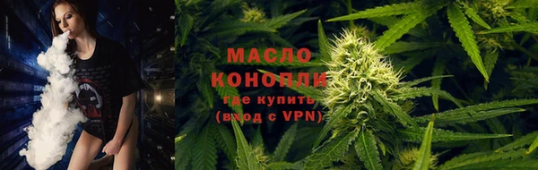 стаф Инсар