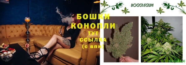 стаф Инсар