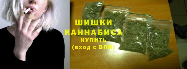 стаф Инсар