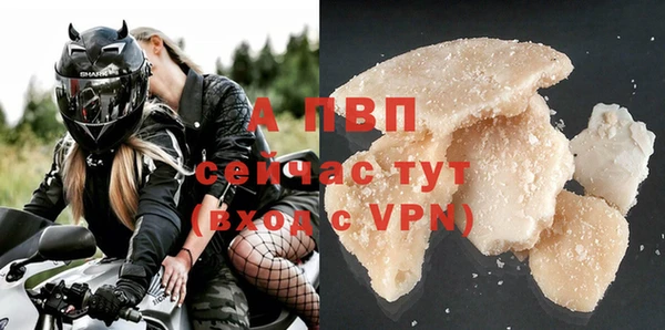 стаф Инсар