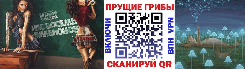 Псилоцибиновые грибы Psilocybine cubensis  Купить  Жуков 